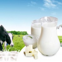 Sữa Tiệt Trùng & Sữa Bột