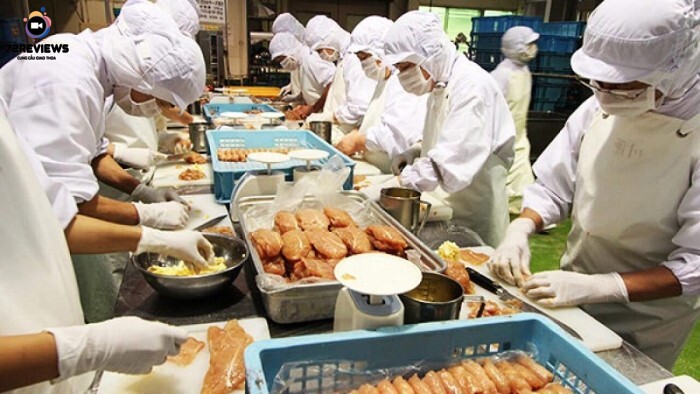Cơ hội việc làm ngày càng mở rộng