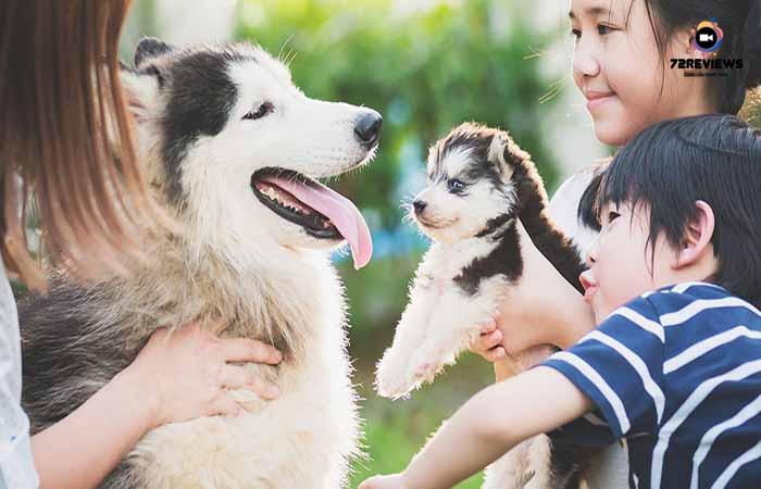 Nuôi chó dạy cho bạn cách sống có trách nhiệm hơn