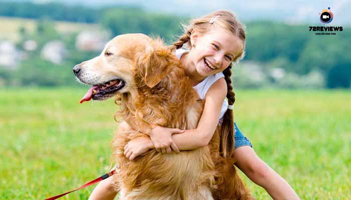 Nuôi chó mang đến cho bạn nhiều niềm vui trong cuộc sống