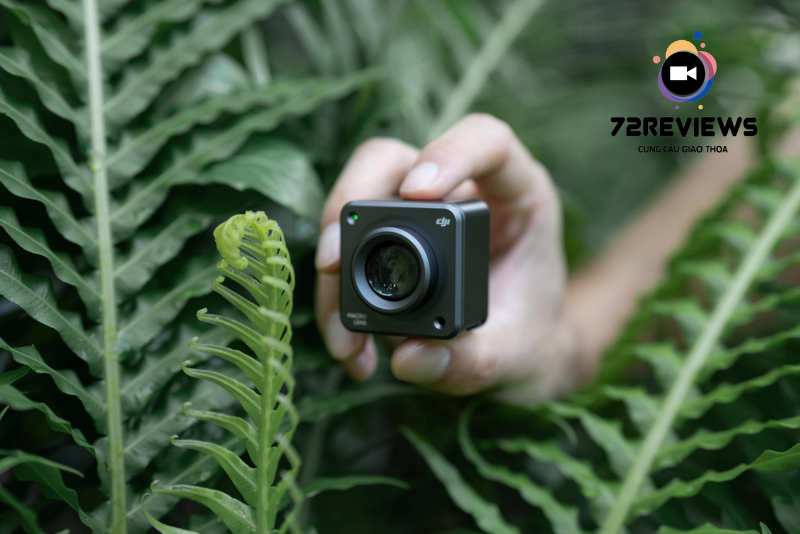 Phụ kiện dành cho ống kính Macro
